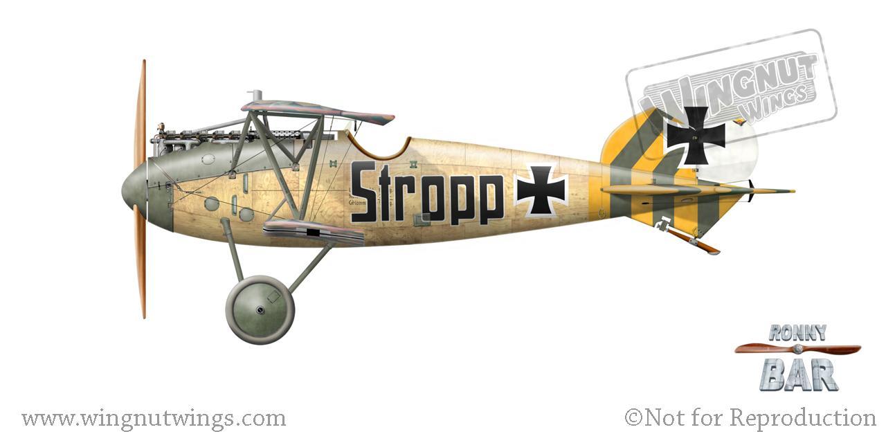 正規激安 Wingnut Wings - 1/32 Albatros D.Va 'Wooden Wonders' Limited 航空機・ヘリコプター